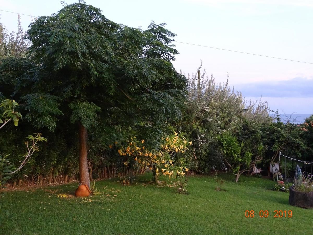 Quinta Da Maria Villa Horta  Buitenkant foto